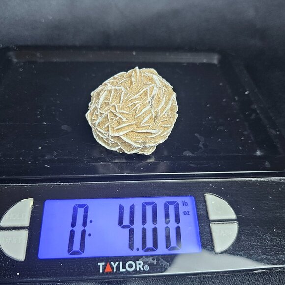 Desert Rose - Picture 4 of 4